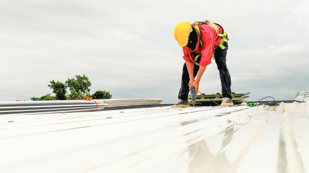 Best Green or Eco-Friendly Roofing Solutions  in Williamstown, PA