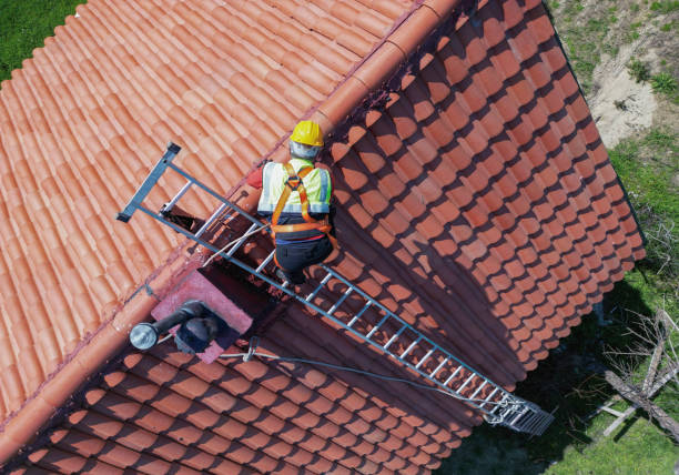 Best Asphalt Shingle Roofing  in Williamstown, PA