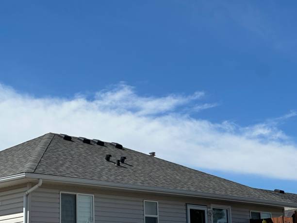 Best Storm Damage Roof Repair  in Williamstown, PA